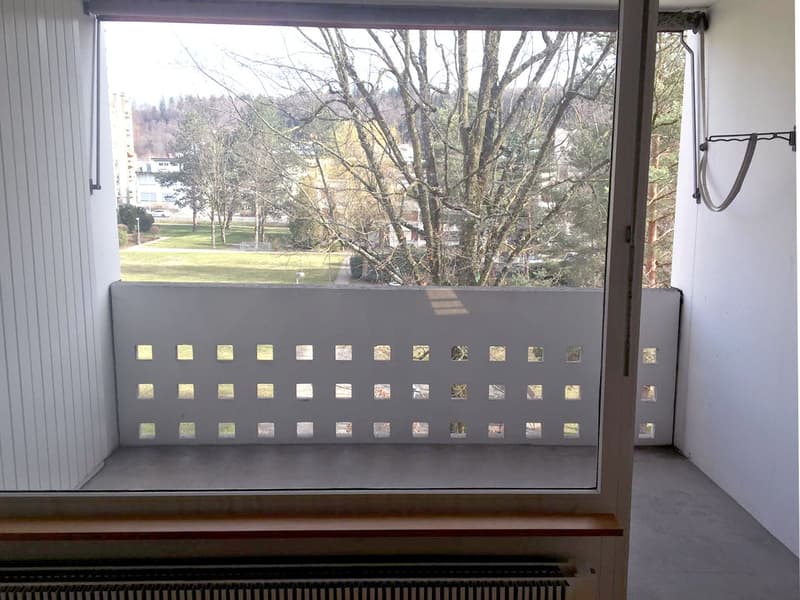 4.5 Zimmer Wohnung mit grosser Dachterrasse (4)