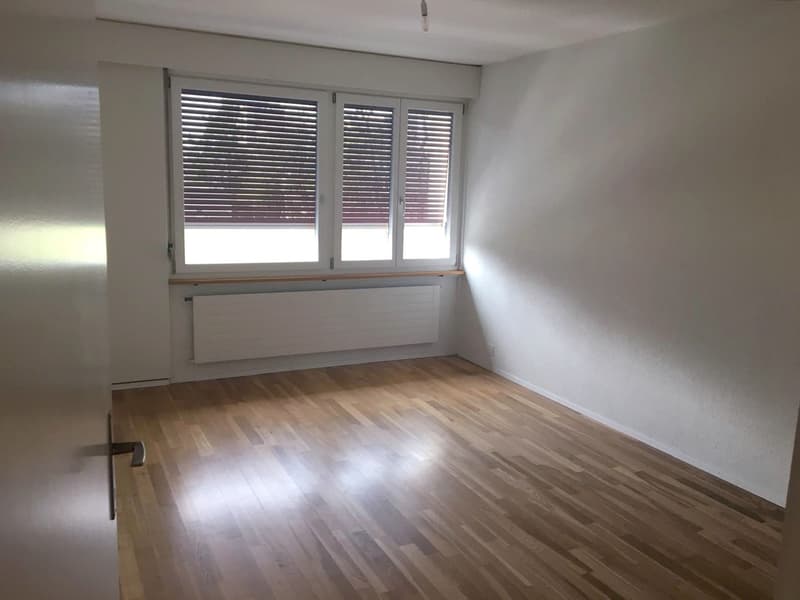 4.5 Zimmer Wohnung mit grosser Dachterrasse (9)