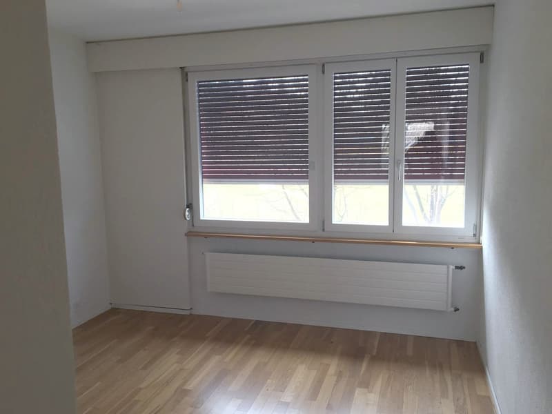 4.5 Zimmer Wohnung mit grosser Dachterrasse (13)