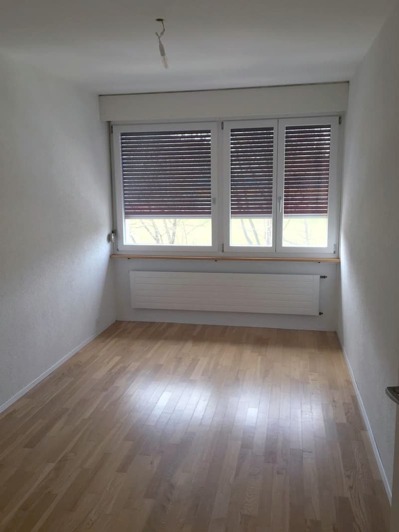 4.5 Zimmer Wohnung mit grosser Dachterrasse (11)
