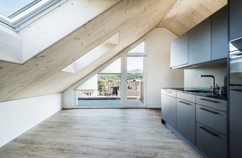 Moderne 1.5-Zimmer-Dachwohnung mit Seeblick (1)