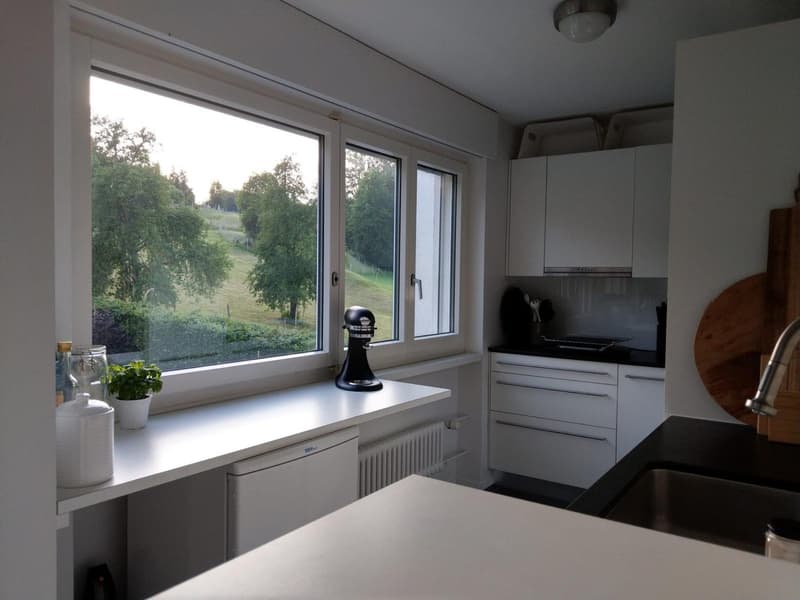 Schöne 3,5 Zimmerwohnung, Stadt und Naturnah (7)