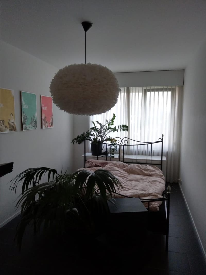 Schöne 3,5 Zimmerwohnung, Stadt und Naturnah (5)