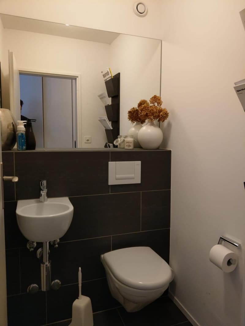 Schöne 3,5 Zimmerwohnung, Stadt und Naturnah (4)
