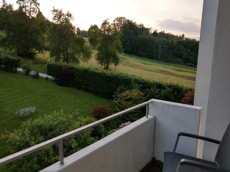 Schöne 3,5 Zimmerwohnung, Stadt und Naturnah (10)
