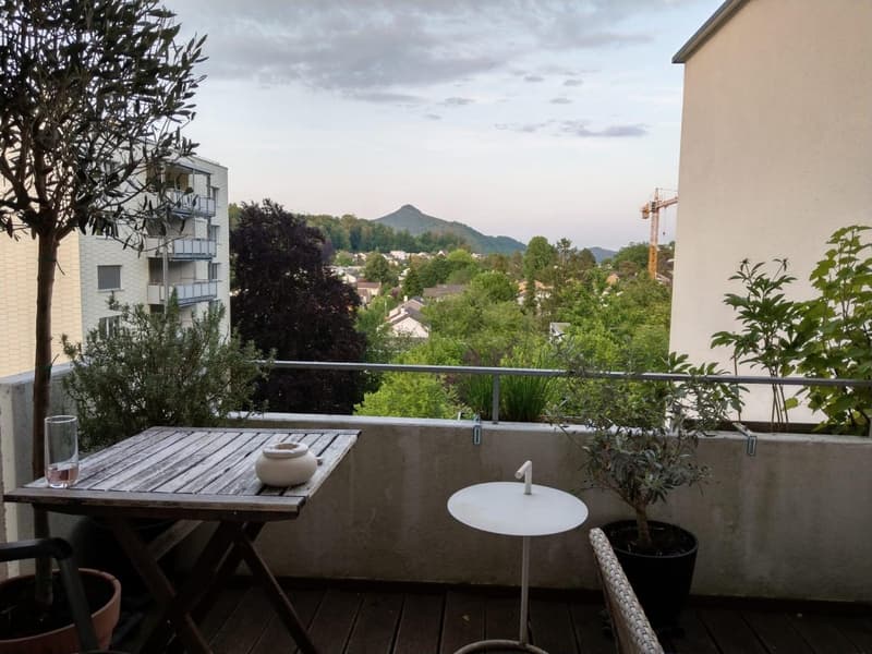 Schöne 3,5 Zimmerwohnung, Stadt und Naturnah (9)