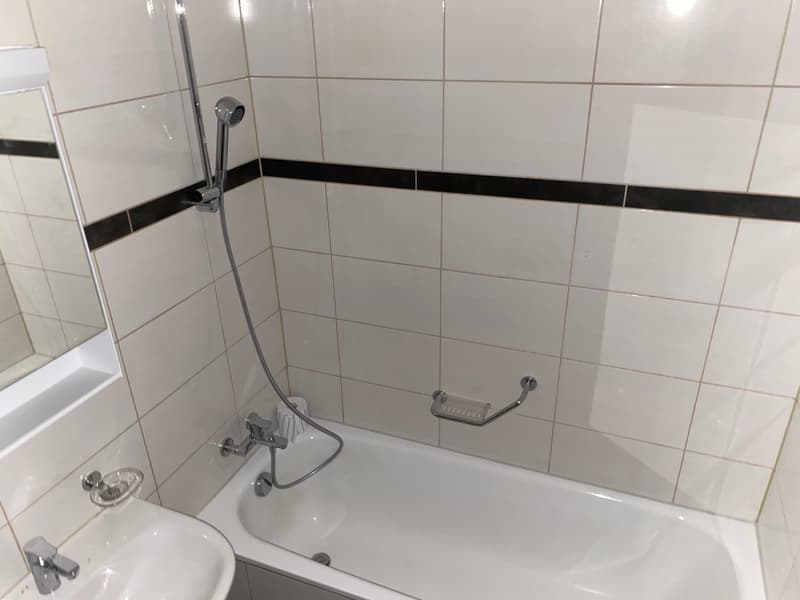 2-Zimmerwohnung mit grossem Balkon (9)