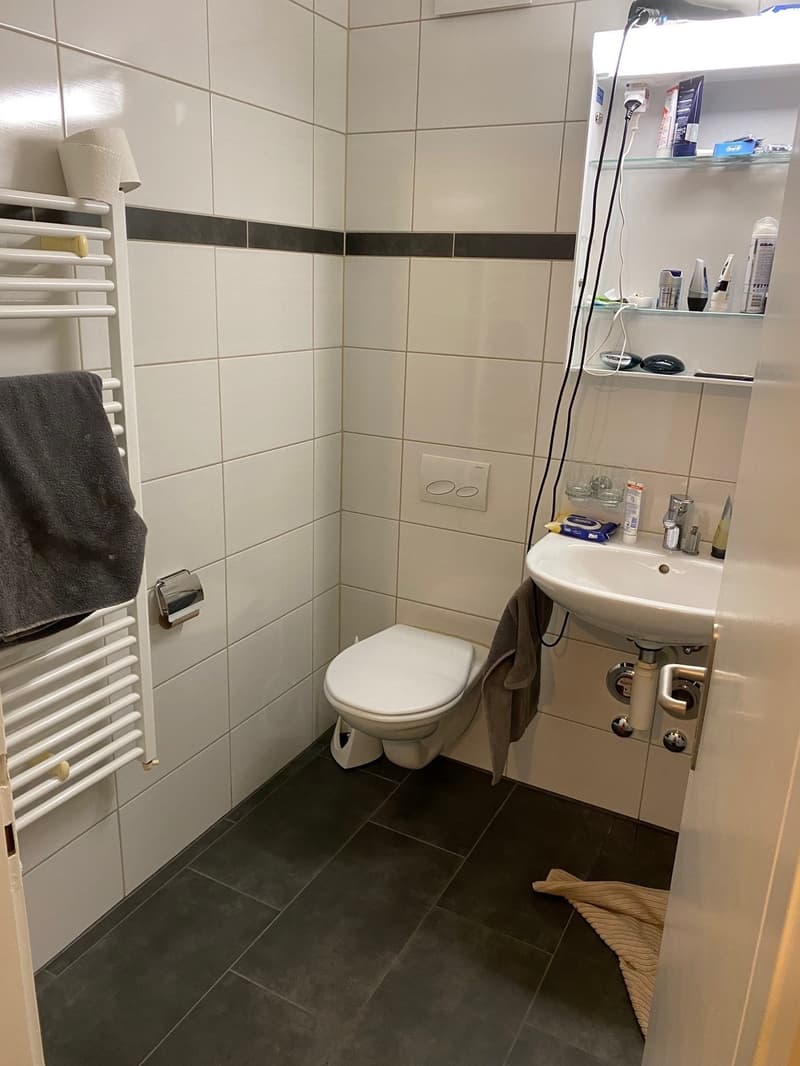2-Zimmerwohnung mit grossem Balkon (8)