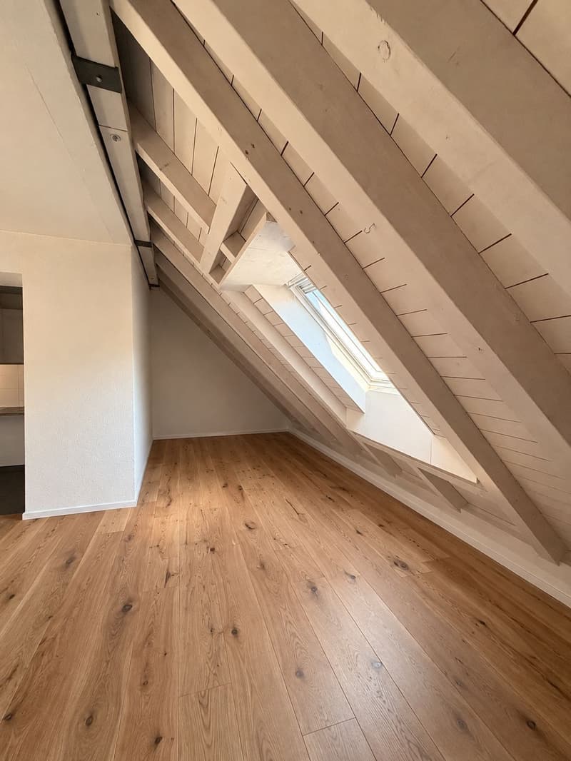 MODERNE, frisch sanierte 2.5-Zimmer-Loftwohnung mit Aussicht (3)