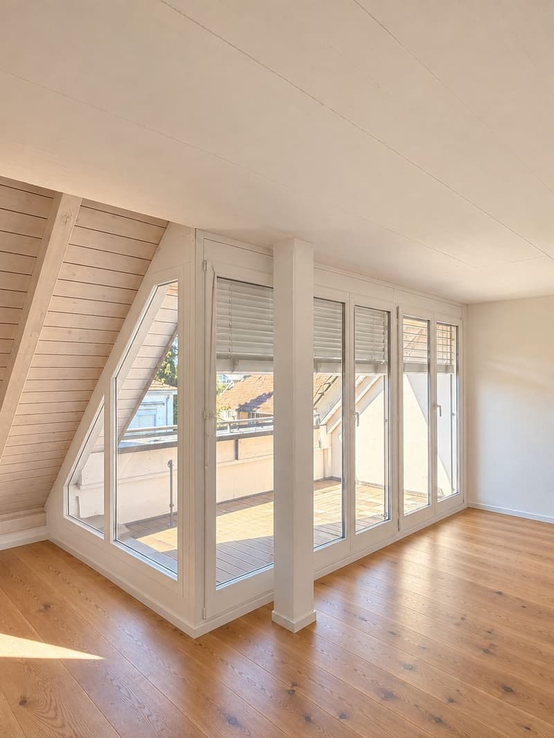 MODERNE, frisch sanierte 2.5-Zimmer-Loftwohnung mit Aussicht (4)