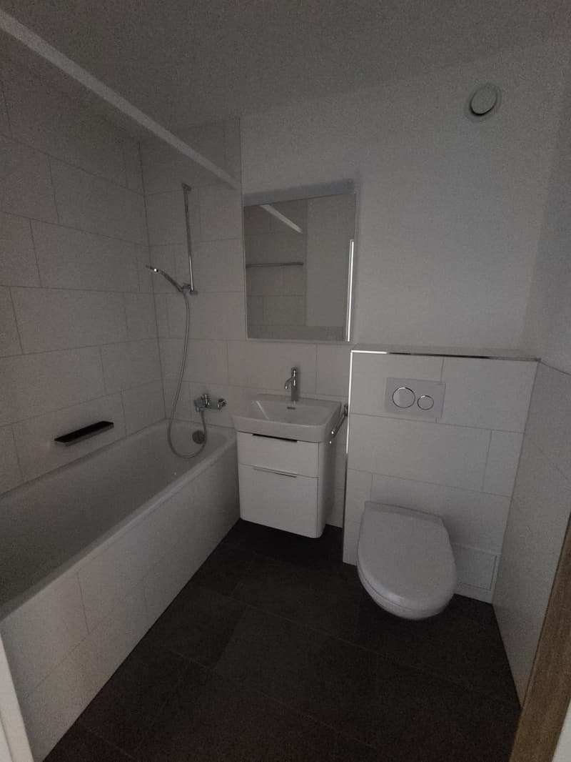Frisch renovierte 3.5 Zimmerwohnung (6)