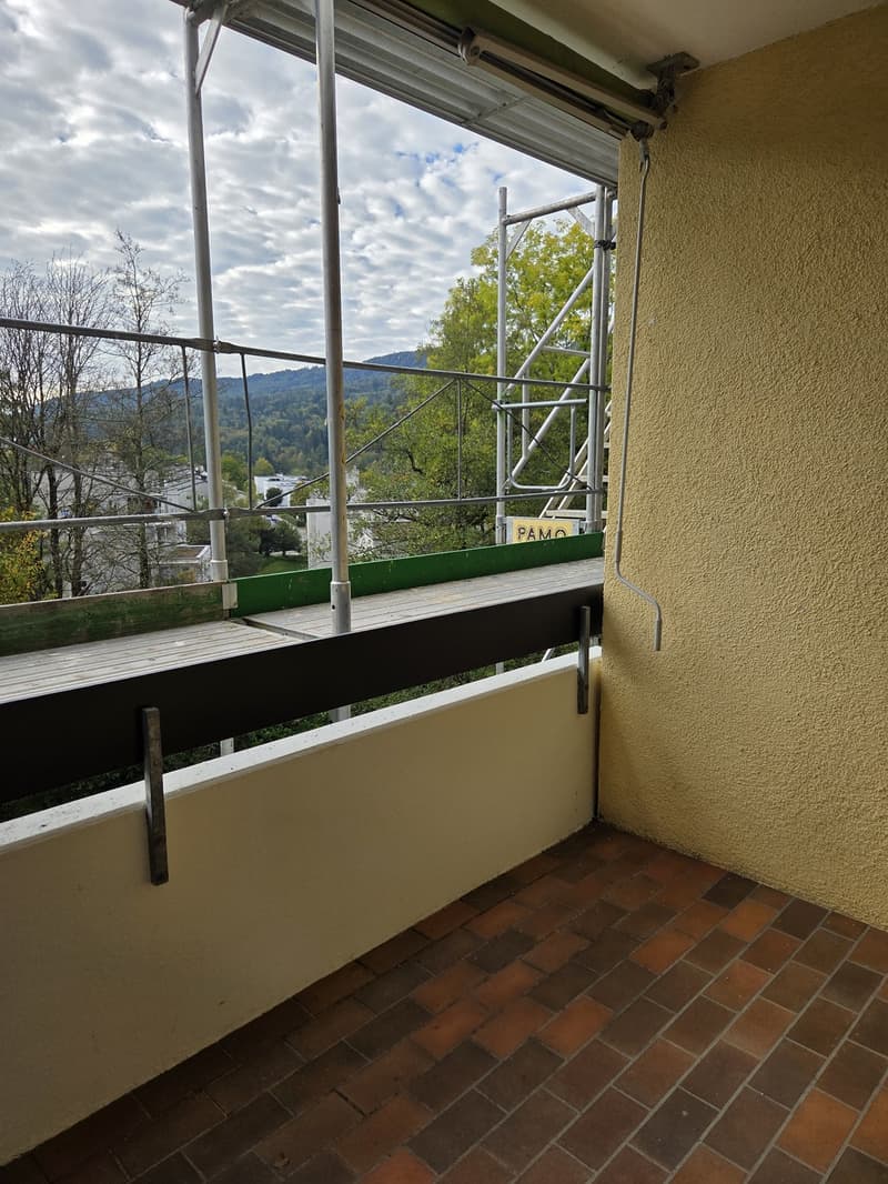 Frisch renovierte 3.5 Zimmerwohnung (8)