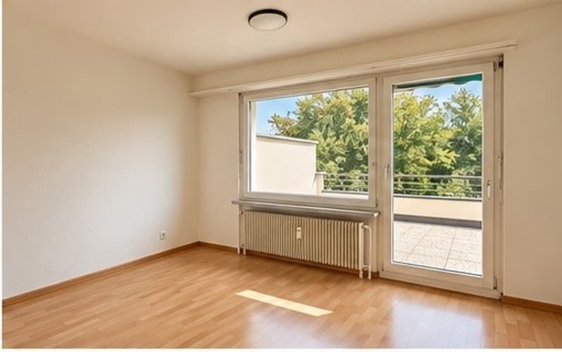 Grosszügige 4.5-ZWG mit Cheminée und weitläufiger Terrasse (5)