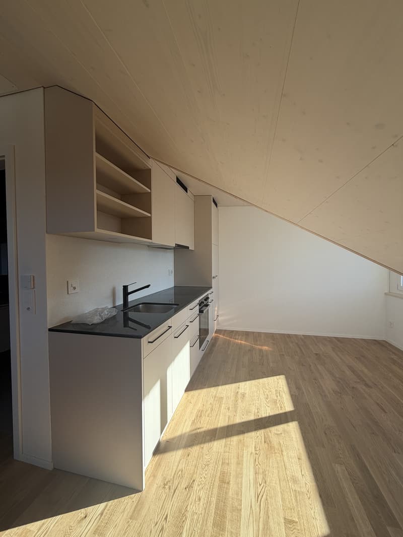 Helle, neu sanierte 2.0-Zimmer-Wohnungen am Breitenweg 35 (5)