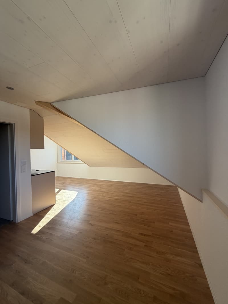 Helle, neu sanierte 2.0-Zimmer-Wohnungen am Breitenweg 35 (3)