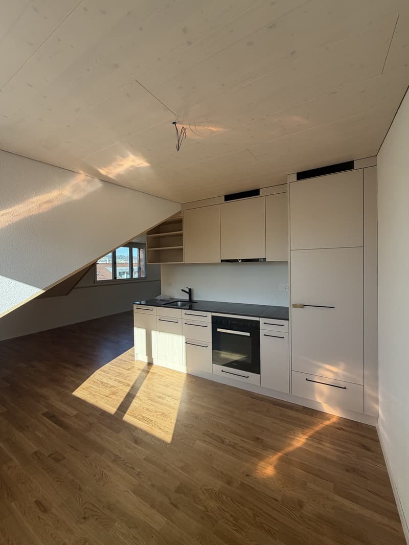 Helle, neu sanierte 2.0-Zimmer-Wohnungen am Breitenweg 35 (6)