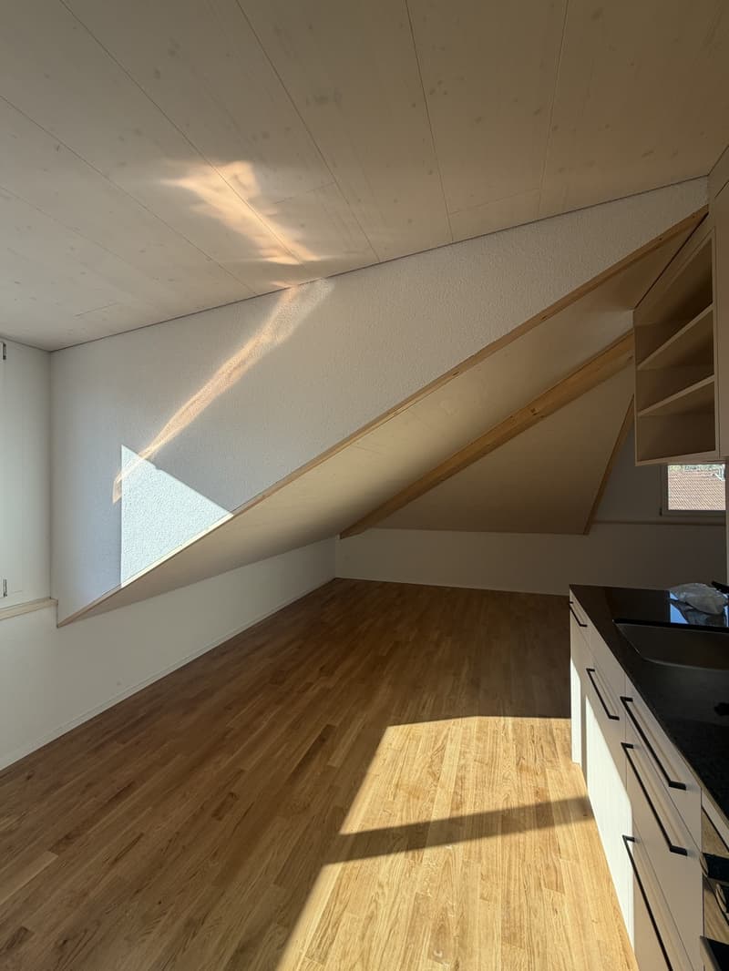 Helle, neu sanierte 2.0-Zimmer-Wohnungen am Breitenweg 35 (4)