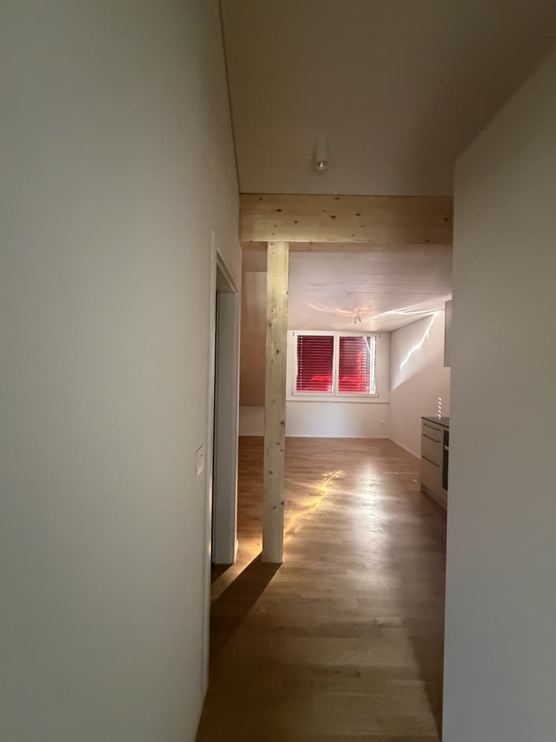 Helle, neu sanierte 2.0-Zimmer-Wohnungen am Breitenweg 35 (2)