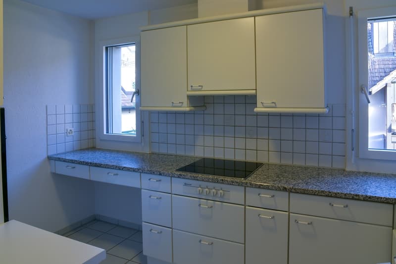 Sonnige 4.5-Zimmer-Dachmaisonette mit Traum-Weitsicht im Limmattal / Sunny 4.5-Room Duplex Apartment with Panoramic Views in Oetwil an der Limmat (6)