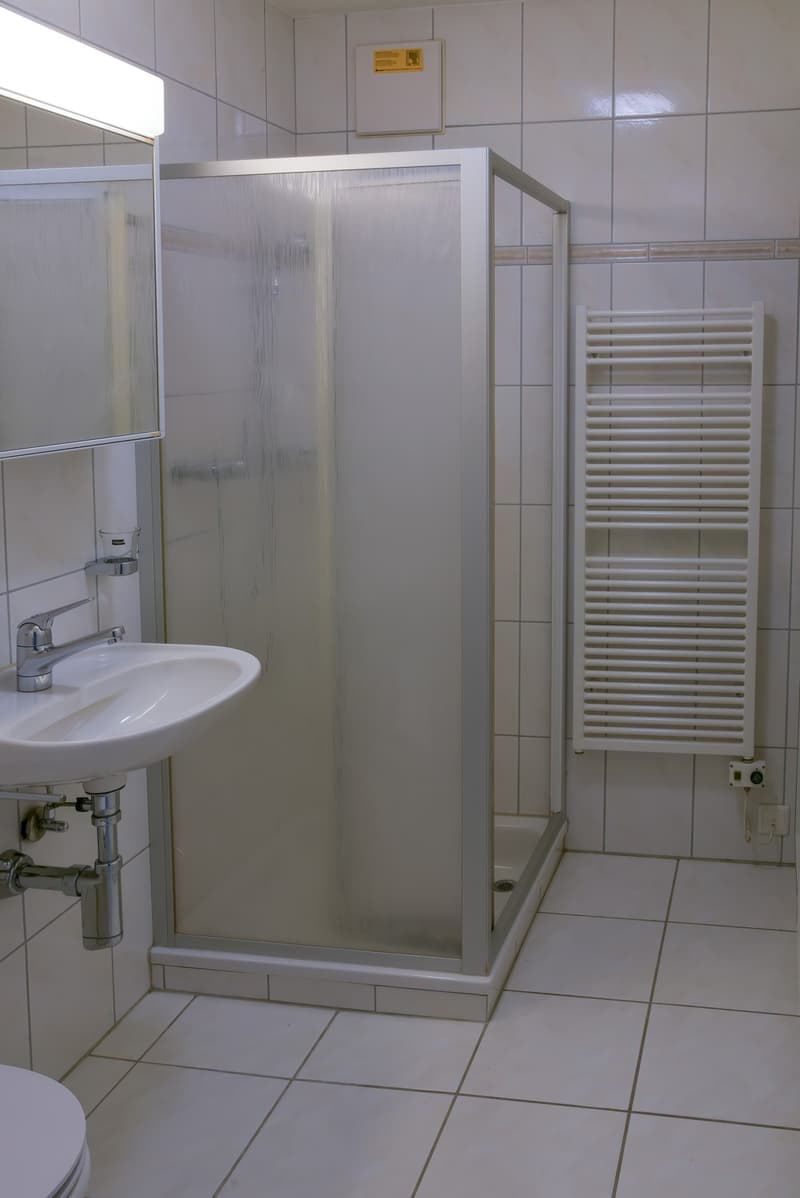 Sonnige 4.5-Zimmer-Dachmaisonette mit Traum-Weitsicht im Limmattal / Sunny 4.5-Room Duplex Apartment with Panoramic Views in Oetwil an der Limmat (7)