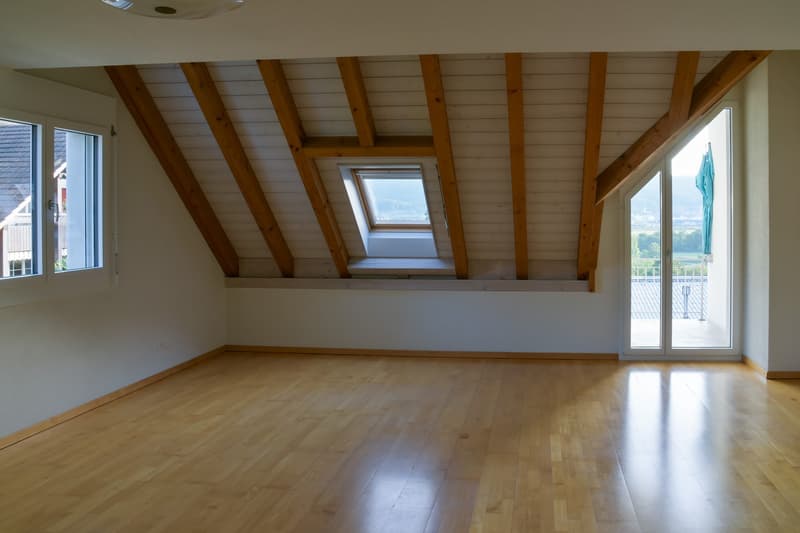 Sonnige 4.5-Zimmer-Dachmaisonette mit Traum-Weitsicht im Limmattal / Sunny 4.5-Room Duplex Apartment with Panoramic Views in Oetwil an der Limmat (1)