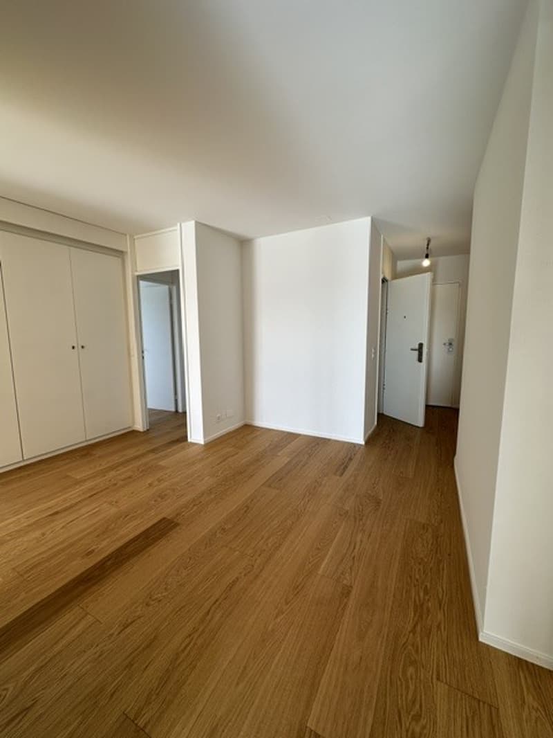 Ruheoase über den Dächern von Basel - Attikawohnung im Wettstein (6)