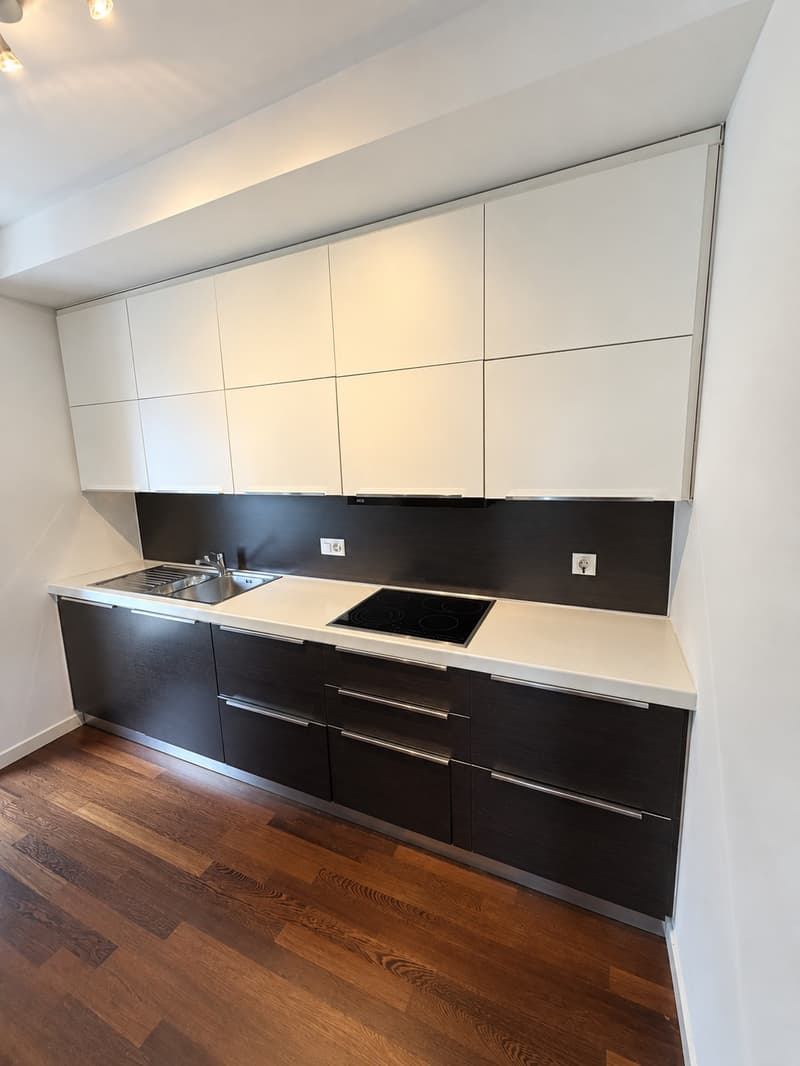 Elegante 3.5 locali con ampia terrazza panoramica e vista lago  Paradiso (13)