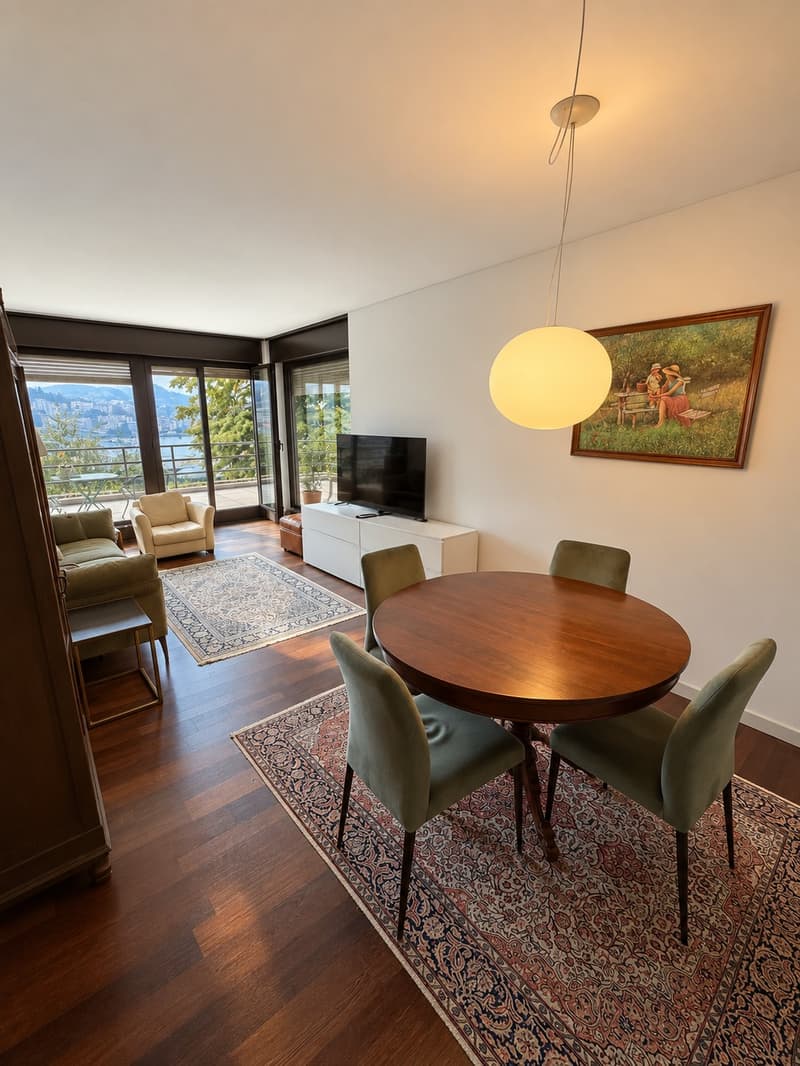 Elegante 3.5 locali con ampia terrazza panoramica e vista lago  Paradiso (3)