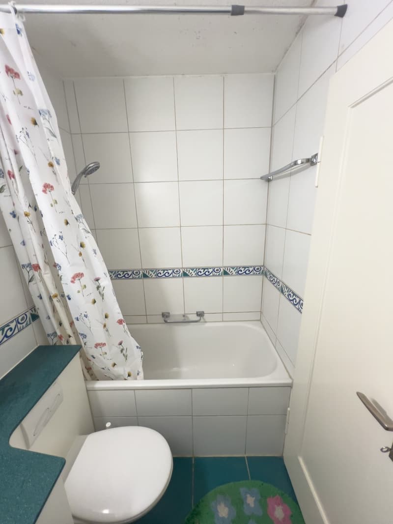 Wir suchen neue Mieter! Finding a new tenant! (5)
