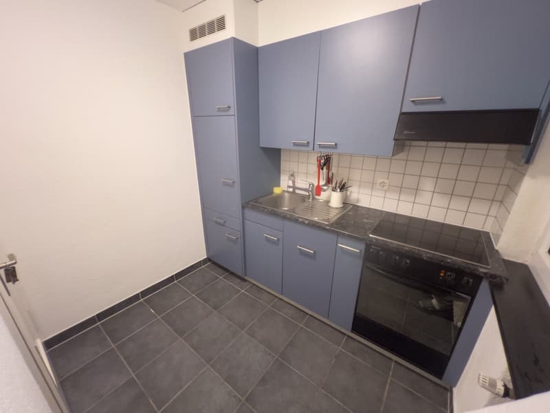 Wir suchen neue Mieter! Finding a new tenant! (6)