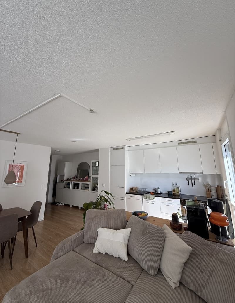WG-Zimmer Kreis 4 (Helvetiaplatz) (3)