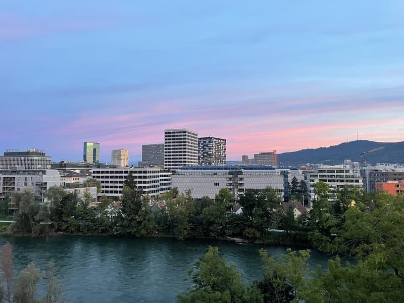 Fixed-term sublet until end of June 2028: Penthouse on the Limmat with panoramic view (8)