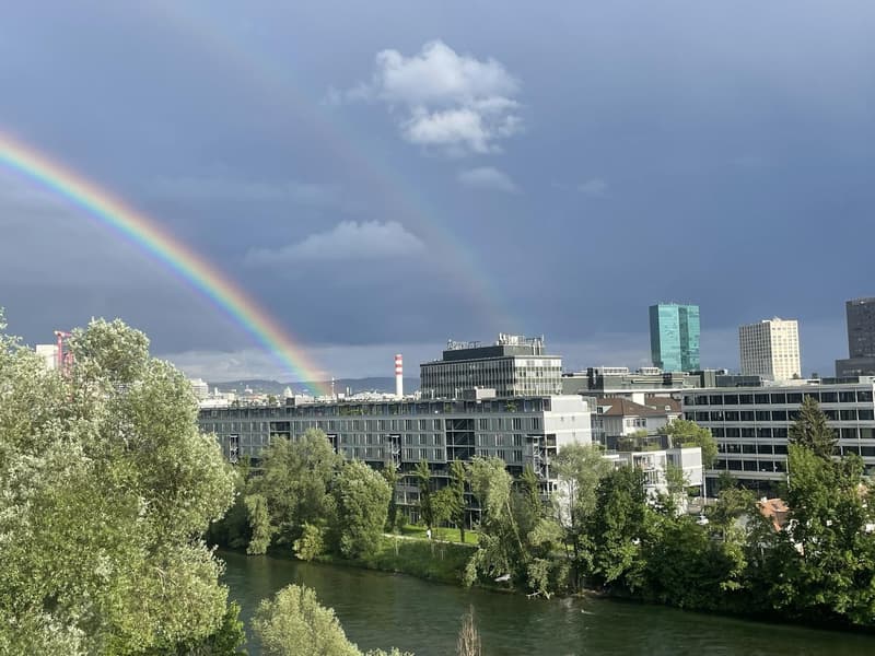 Fixed-term sublet until end of June 2028: Penthouse on the Limmat with panoramic view (3)