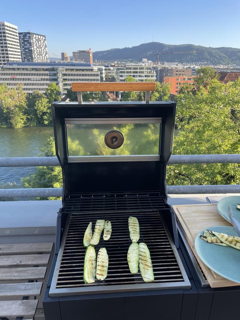 Fixed-term sublet until end of June 2028: Penthouse on the Limmat with panoramic view (6)