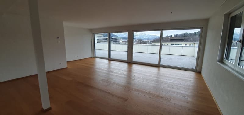 Grosszügige 4.5-Zimmer-Attikawohnung mit 150 m² Terrasse (7)