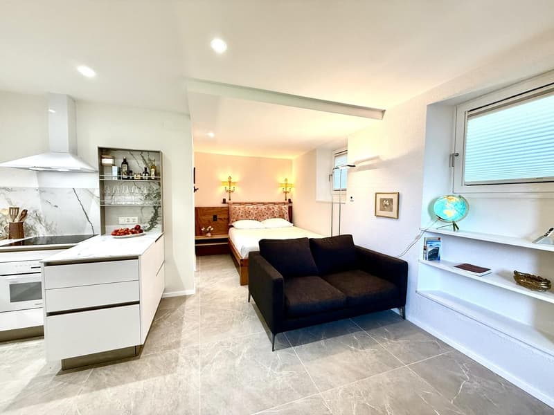 Monolocale a Gandria/Lugano (1)