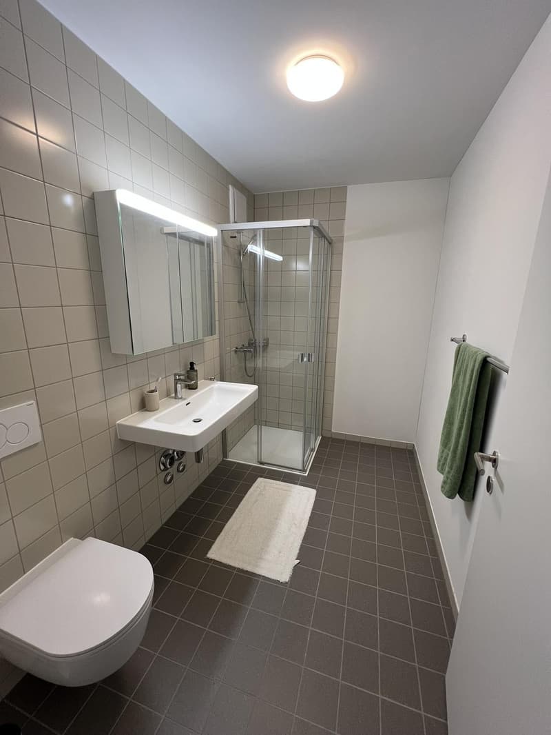 Moderne 2.5-Zimmer-Neubauwohnung mit Bergsicht 4 Min. zum Bahnhof Effretikon (6)