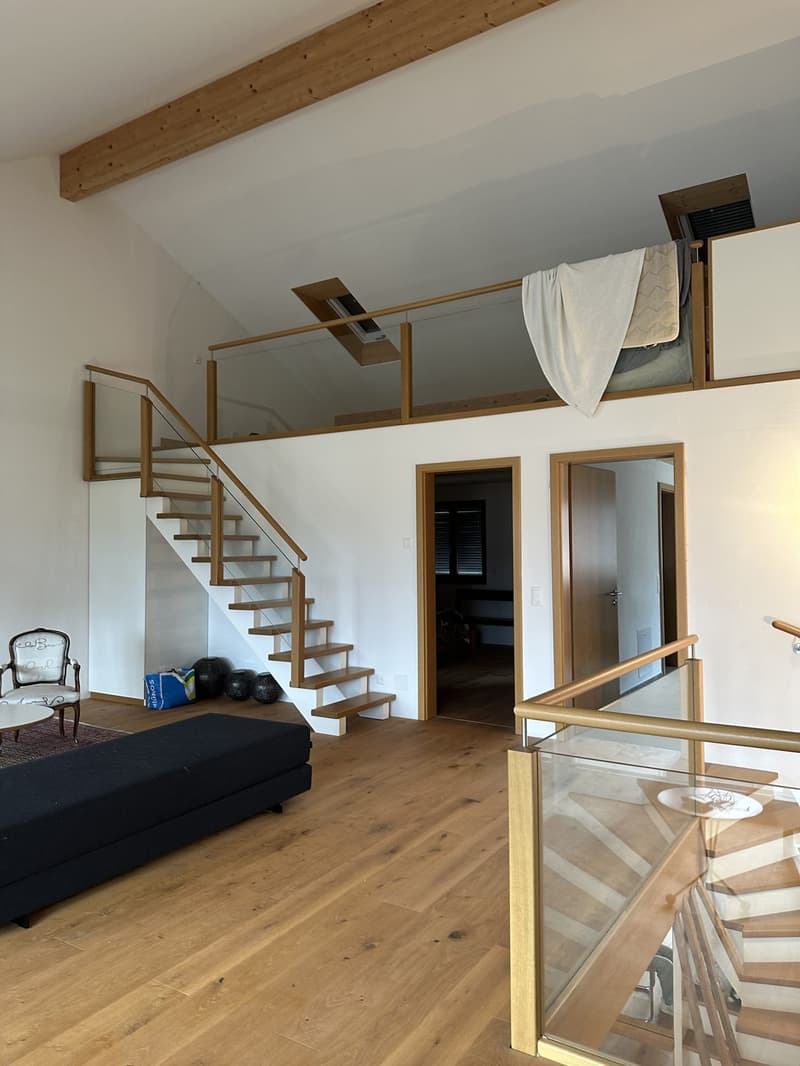 Einzigartiges Loft-Haus mit Dachterrasse und historischem Charme (1)