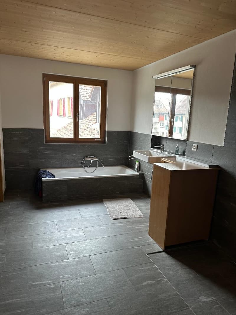 Einzigartiges Loft-Haus mit Dachterrasse und historischem Charme (10)