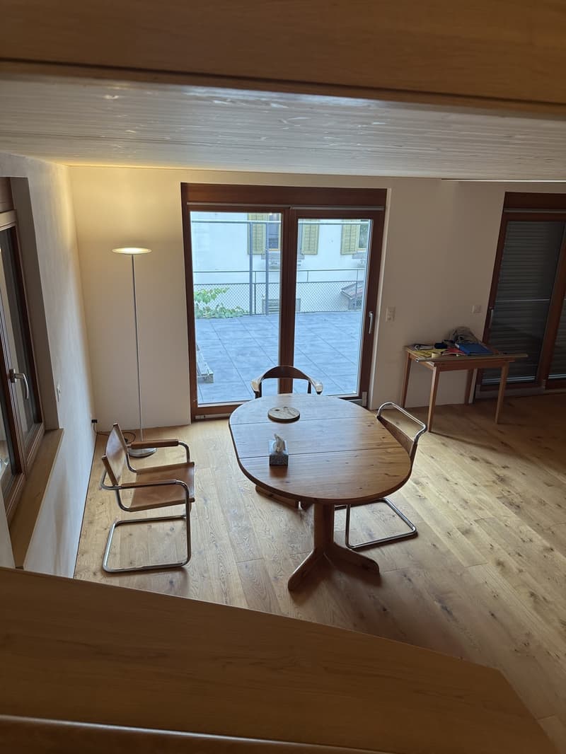 Einzigartiges Loft-Haus mit Dachterrasse und historischem Charme (7)