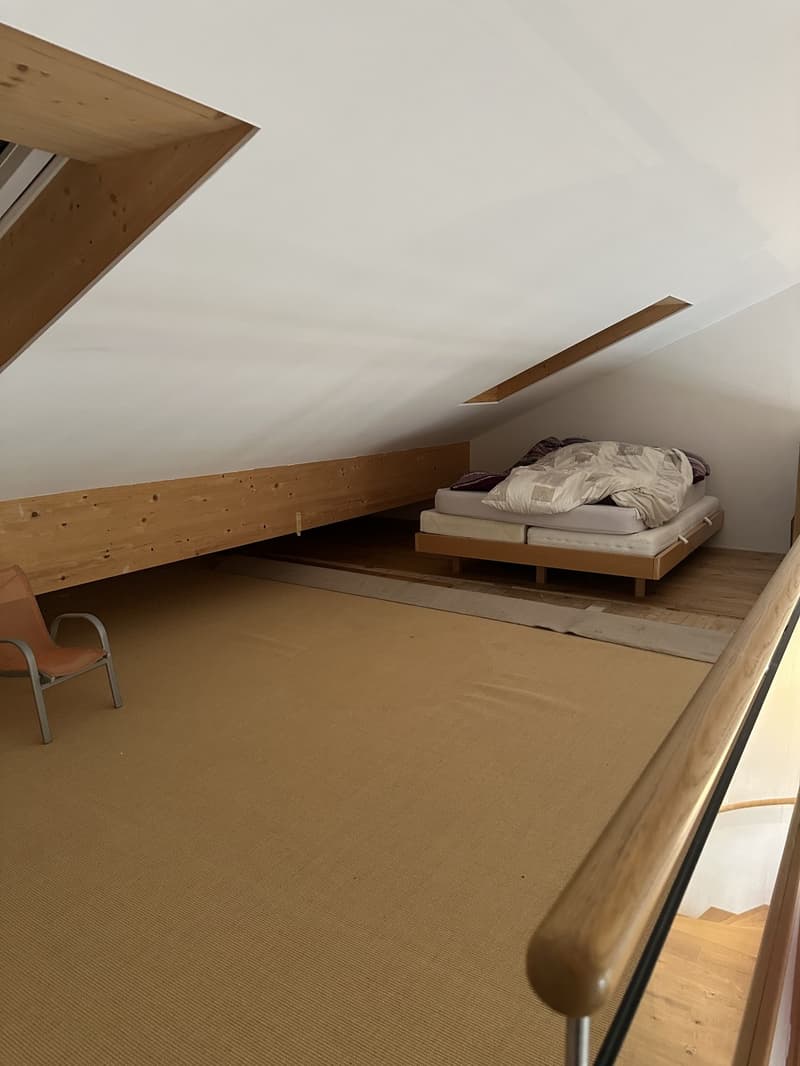 Einzigartiges Loft-Haus mit Dachterrasse und historischem Charme (11)