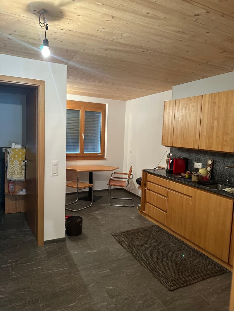 Einzigartiges Loft-Haus mit Dachterrasse und historischem Charme (13)