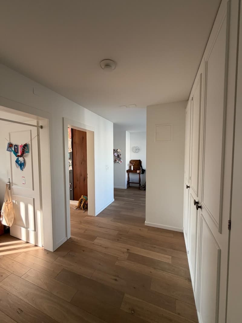 Beautiful, spacious 5.5-room apartment in the city centre (Tribschen) right by the lake / Wunderschöne, geräumige 5.5-Zimmer-Wohnung im Stadtzentrum (Tribschen) direkt am See (5)