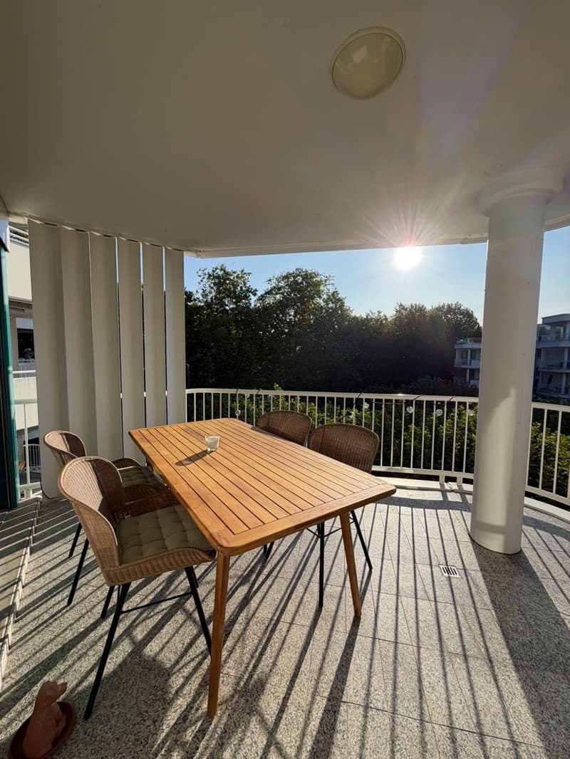 Beautiful, spacious 5.5-room apartment in the city centre (Tribschen) right by the lake / Wunderschöne, geräumige 5.5-Zimmer-Wohnung im Stadtzentrum (Tribschen) direkt am See (11)