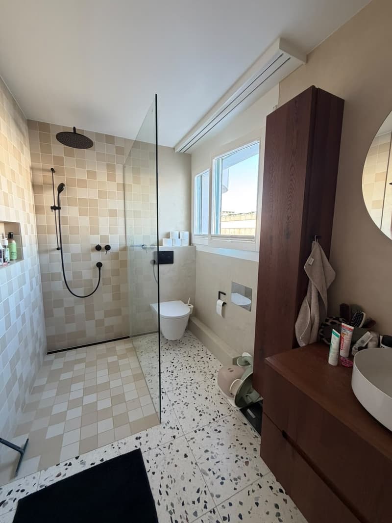 Beautiful, spacious 5.5-room apartment in the city centre (Tribschen) right by the lake / Wunderschöne, geräumige 5.5-Zimmer-Wohnung im Stadtzentrum (Tribschen) direkt am See (9)