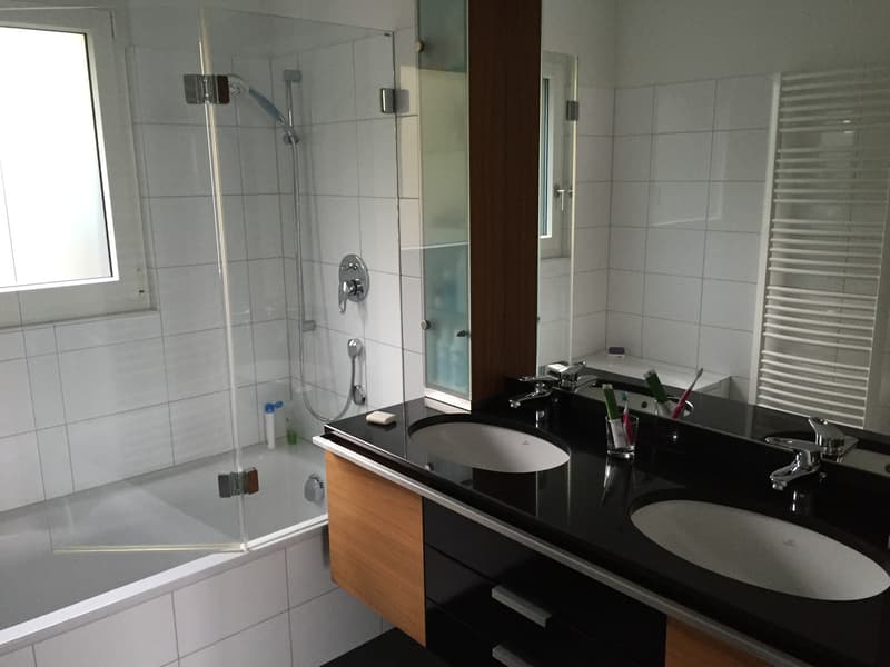 Sonnenverwöhnte 2.5-Zimmer-Wohnung mit See- und Alpensicht (5)