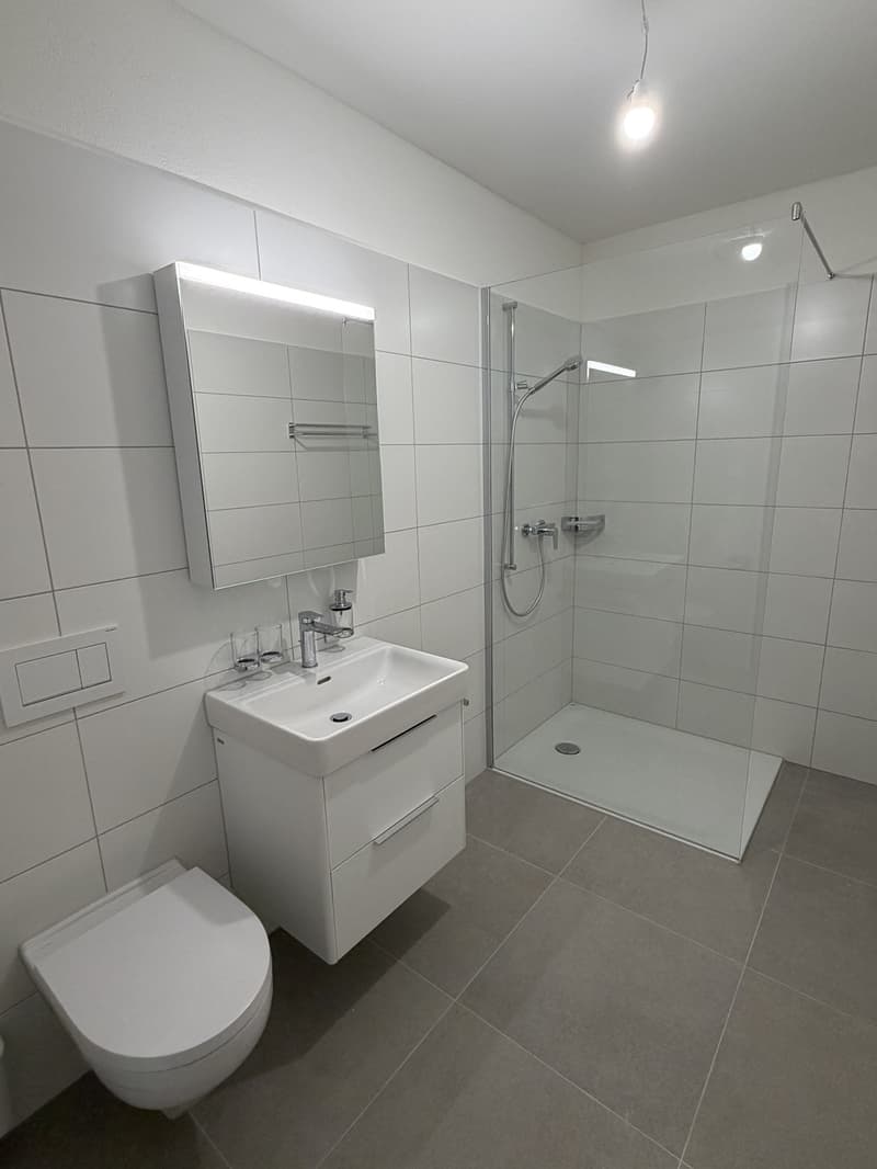 Drei moderne Neubau-Studiowohnungen - Erstbezug - Langstrasse / Europaallee, nahe Hauptbahnhof Zuerich (6)