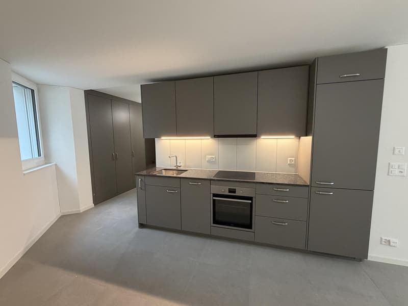 Drei moderne Neubau-Studiowohnungen - Erstbezug - Langstrasse / Europaallee, nahe Hauptbahnhof Zuerich (4)