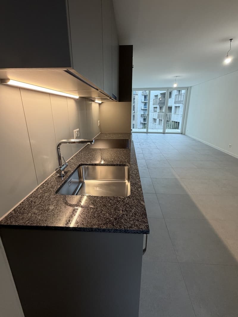 Drei moderne Neubau-Studiowohnungen - Erstbezug - Langstrasse / Europaallee, nahe Hauptbahnhof Zuerich (2)