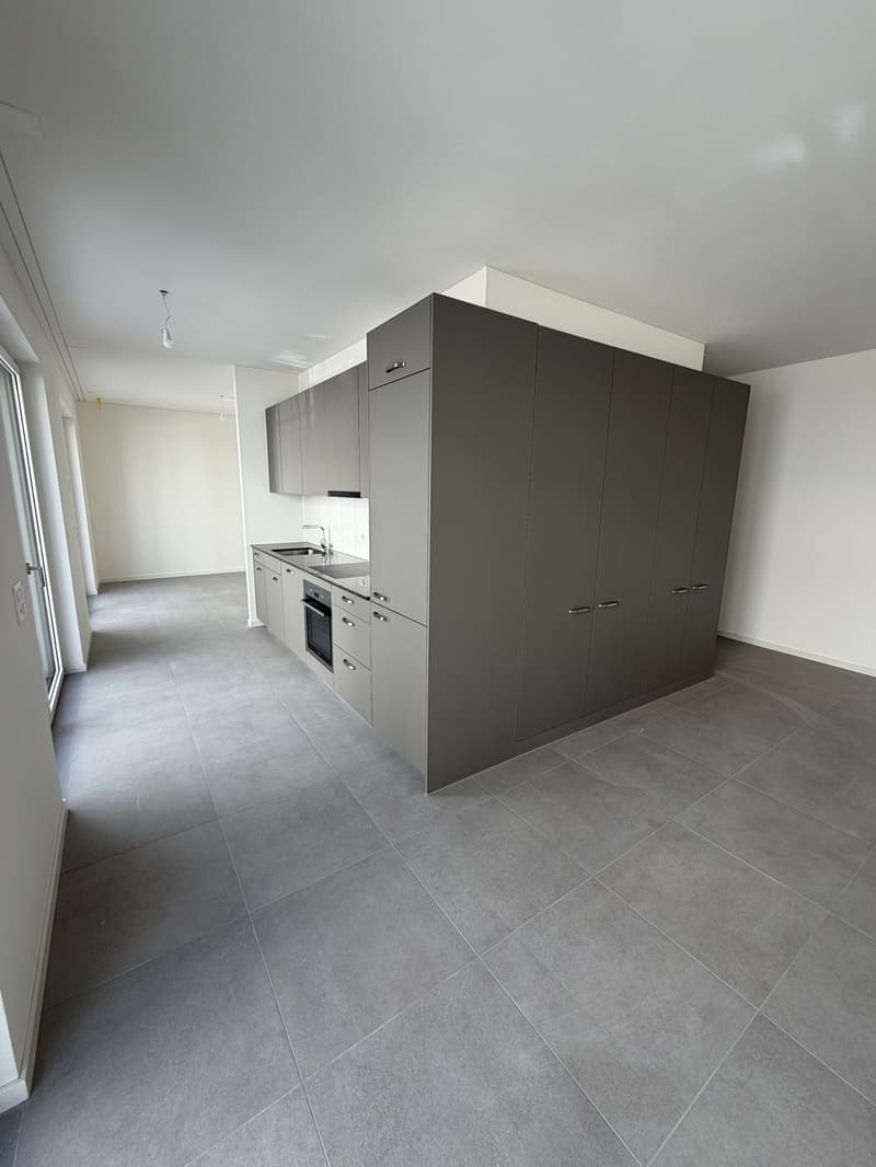Moderne Neubau-3-Zimmerwohnung mit grosser Terrasse - Erstbezug - Langstrasse / Europaallee, Zuerich (1)
